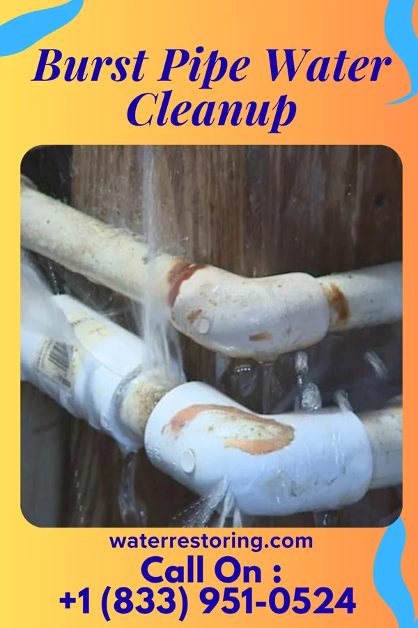 Burst Pipe Water Cleanup in West Point, KY