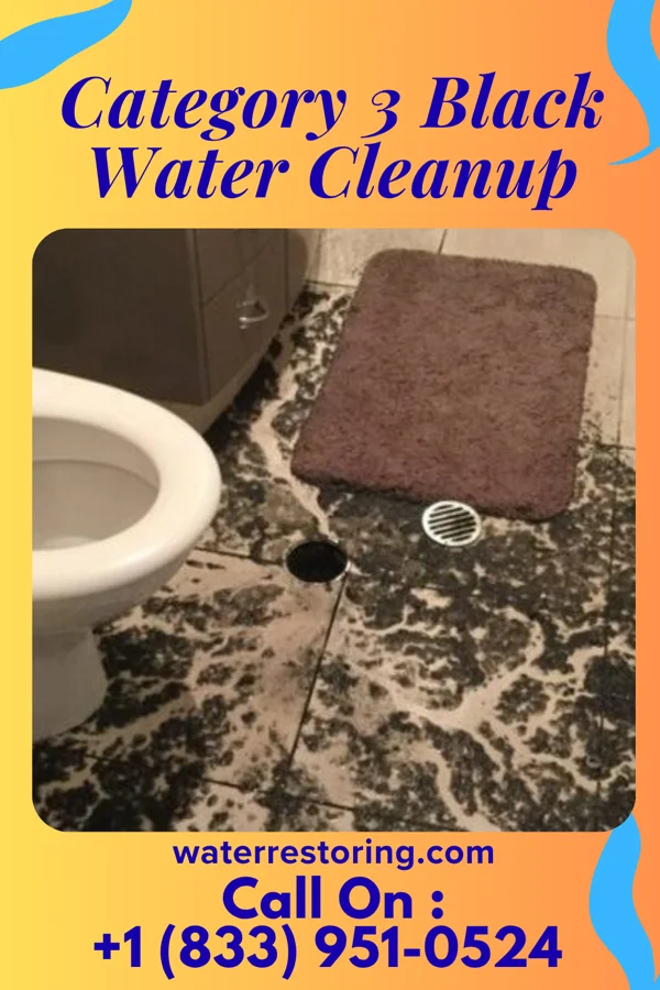 Category 3 Black Water Cleanup in West Point, KY