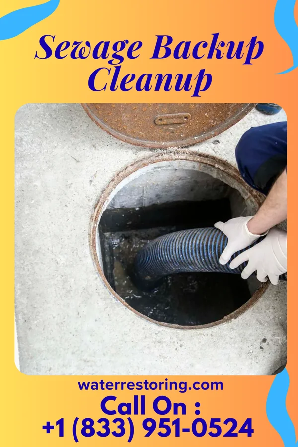 Sewage Backup Cleanup in West Point, KY