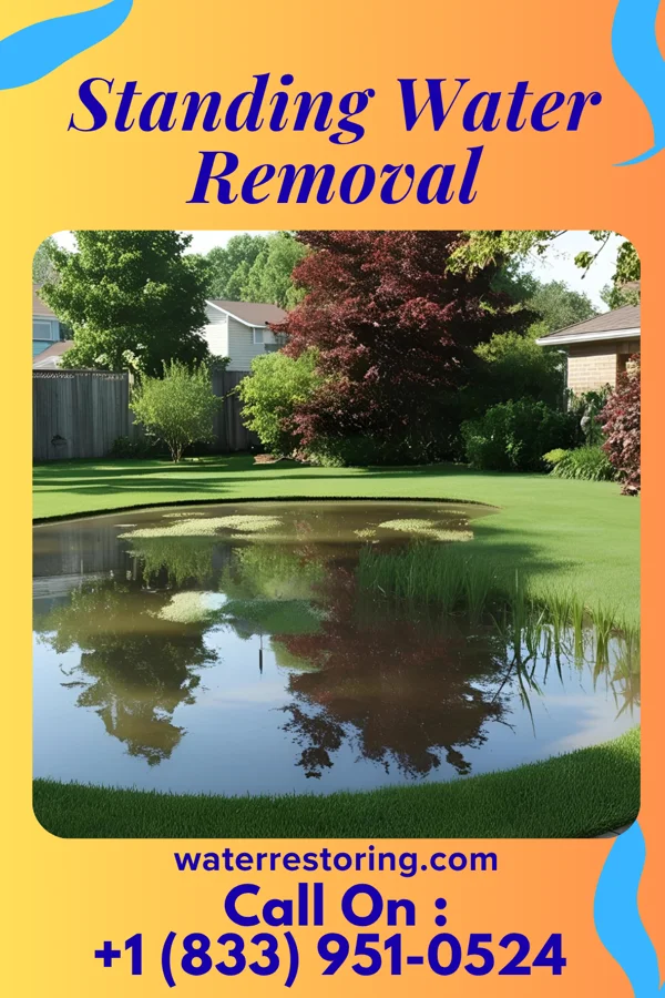 Standing Water Removal in West Point, KY